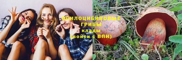 трава Армянск