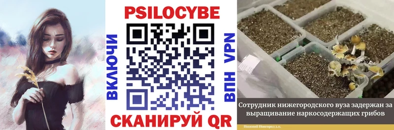 Галлюциногенные грибы мухоморы  наркотики  Туринск 